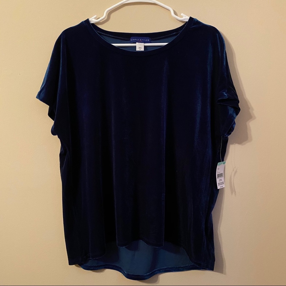 Simply Styled Velvet Top